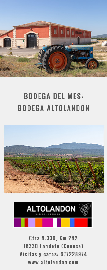 Bodega del Mes: ALTOLANDON, Landete (Cuenca)